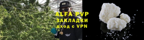 стафф Новодвинск