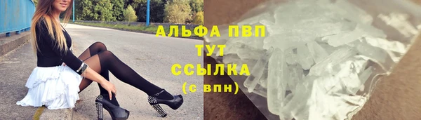 трава Новозыбков