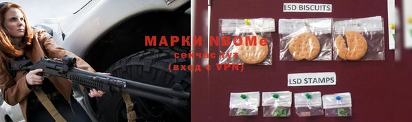 дмт Новокубанск