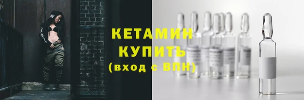 трава Новозыбков