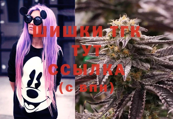 трава Новозыбков