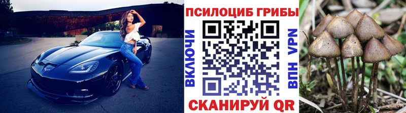 Псилоцибиновые грибы прущие грибы Белая Калитва
